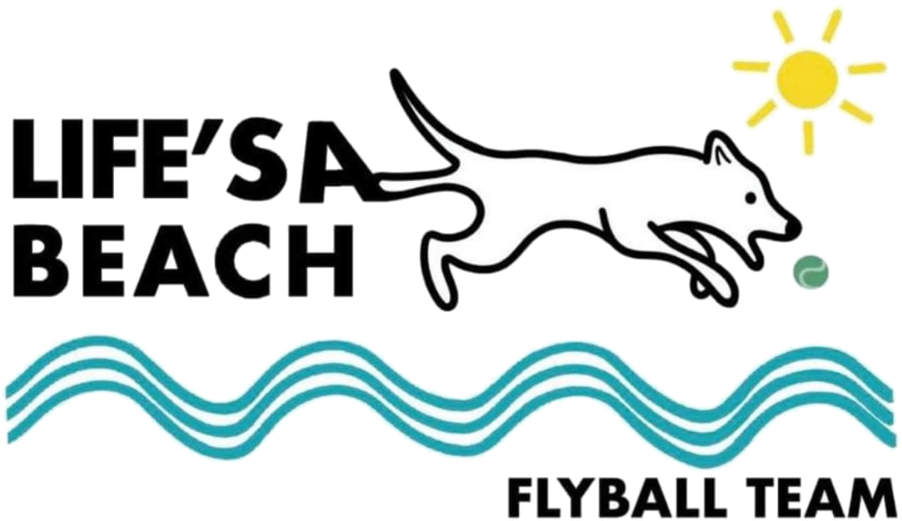 Life's A Beach Flyball